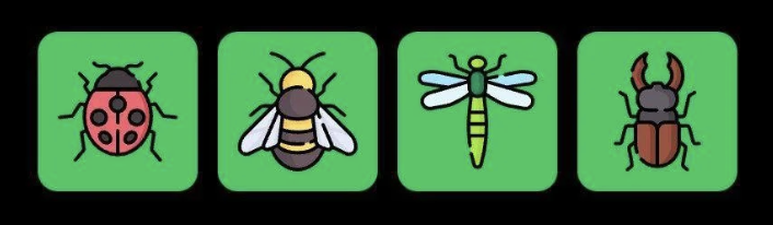 FLIES Daily Combo 1 June 2025